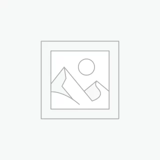 Sed pretium quam lacinia placerat